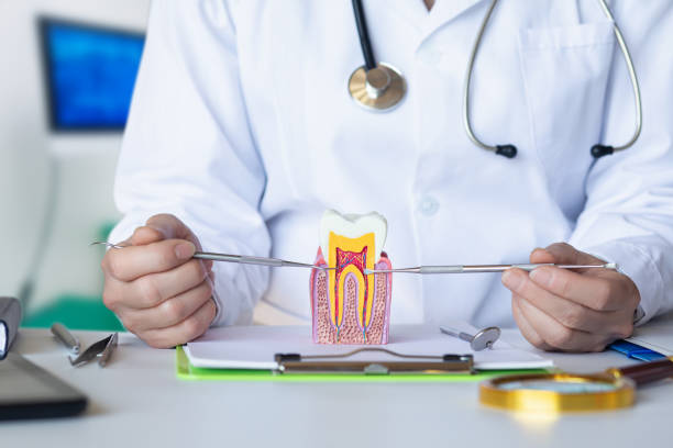 Best Emergency Dentist for Special Needs Patients in St Robert, MO